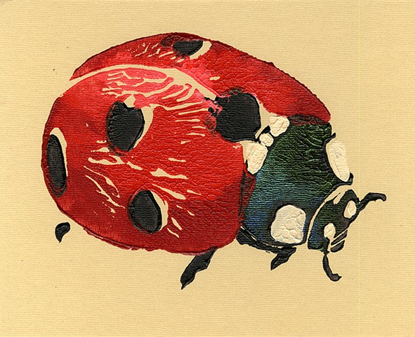 Ladybug on Cream *Collaboration with Robert Zahorsky