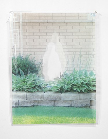 Ghost Mary with Hostas