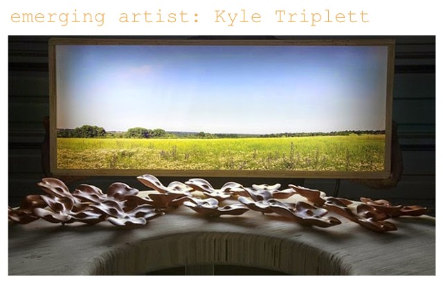 Emerging Artist: Kyle Triplett