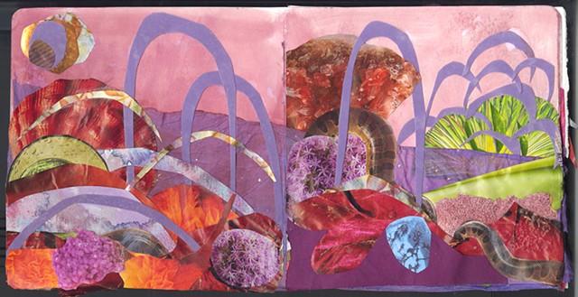 Green Flash and a Snake