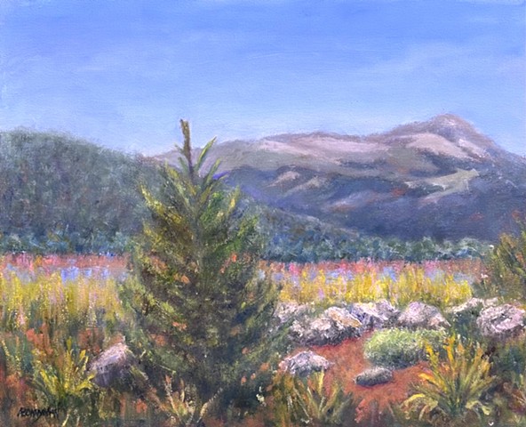North Country