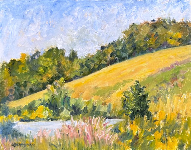 Summer Hillside