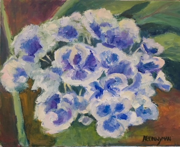 Hydrangea II