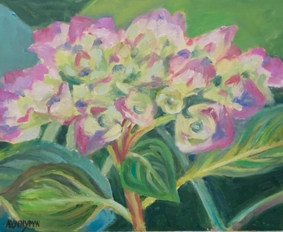 Hydrangea I