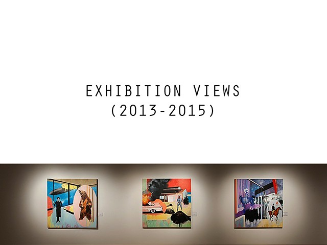 Exhibition views (2013-15)