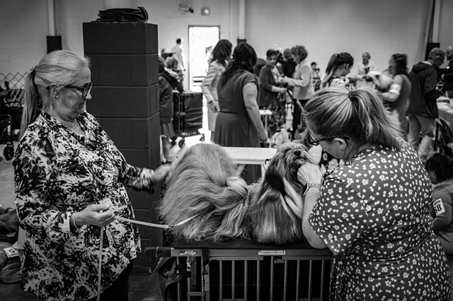 Grooming