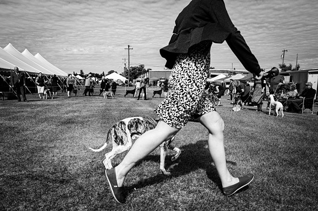 Photographs - Northern Alberta Canine Association (Dog Show), May 2026