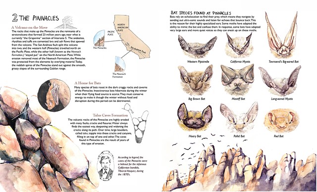 california bats pinnacles Emily underwood reading the landscape of California