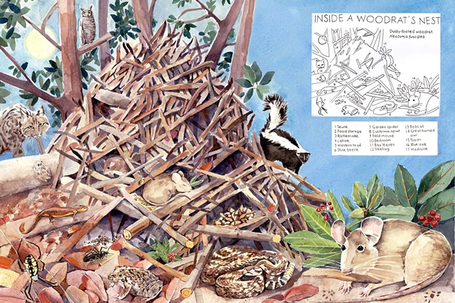 woodcut nest