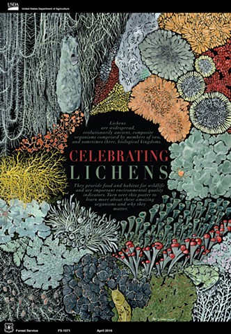 Lichens natural history illustration 