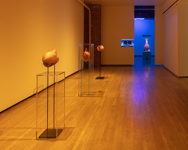 What Will Have Being (installation view)