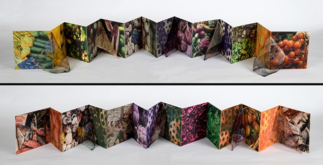 PATTY KENNEDY-ZAFRED