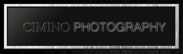 Cimino Photography Marketing Logo