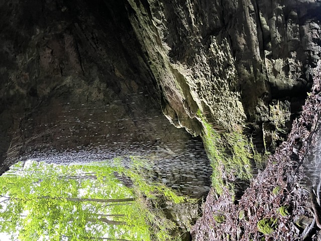 America's National Parks Podcast episode: Consumption in Mammoth Cave (written by Lauren Beth Eisenberg Davis)