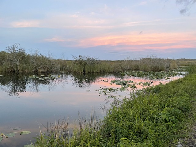 America's National Parks Podcast episode: Poaching in the Everglades (written by Lauren Beth Eisenberg Davis)