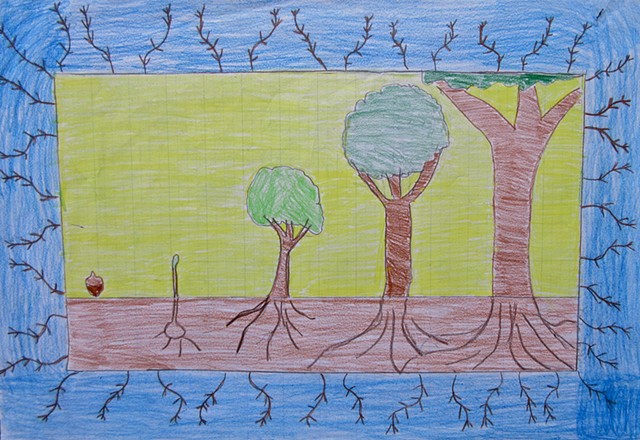 6th grade Chicago Public School student’s design for hand knotted carpet. 