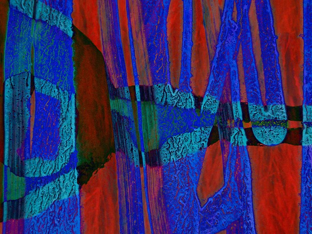 Abstract Art, Digital Photograph, Color Photograph, Bird, Computer art based off of digital altered photographs.