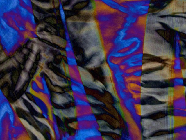 Zebra, Abstract art, Hard Edge Art, Digital photography, color photography, Computer art, Computer art based off digital altered photographs