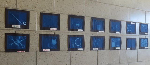 5th grade art and science project Sun print, Cyanotype print