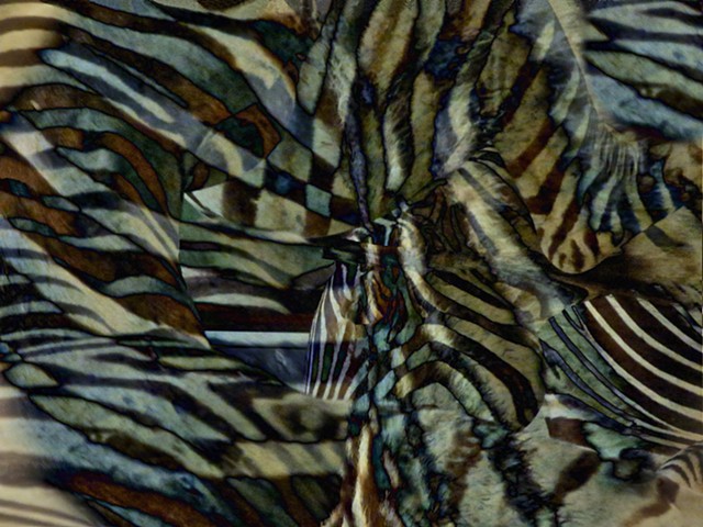 Computer art based off of digital altered photographs of Zebras.