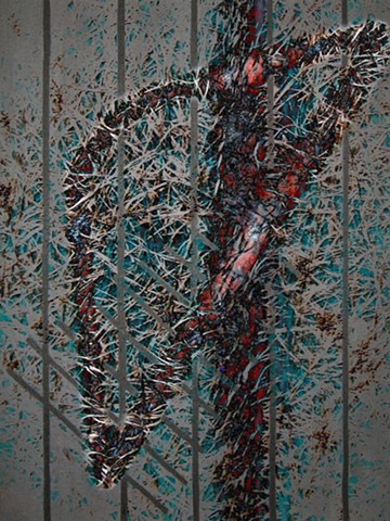 Heart of Thorns, Abstract Art, Hard Edge Art, Color Photographs, Digital Photograph, Computer art based off of digital altered photographs