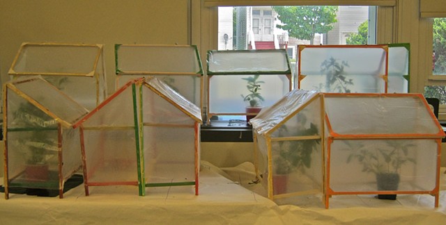 Greenhouse, 5th grade Art and Science project, 