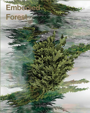 Embodied Forest Online Exhibition & Print Publication