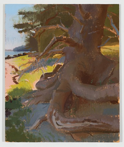 North Beach Spruce (Ruby Shared My Lunch)