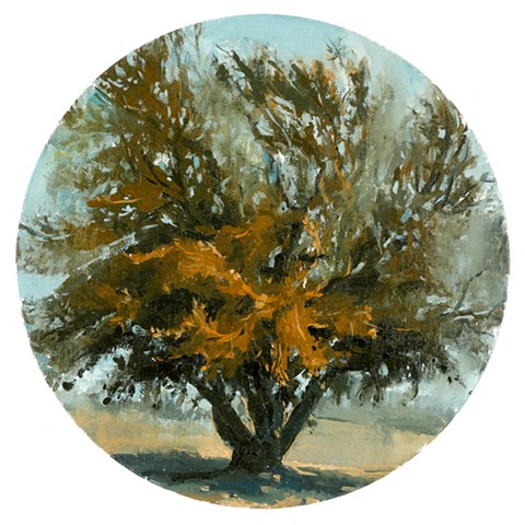 March Laurel Oak Vet School