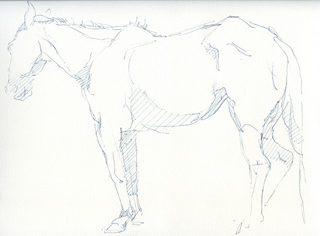 MAFES Horse 8