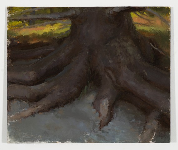 Spruce Roots Hanging on to North Beach