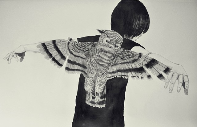 owl series drawing done with indian ink wash