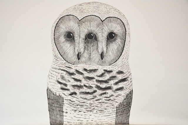 owl series drawing done with indian ink washo