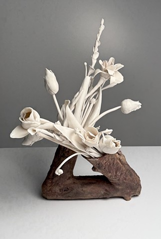 Persistence of Bloom