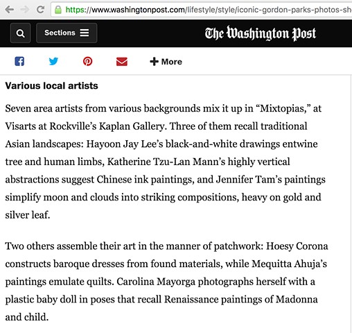 Washington Post | Review Mixtopias 2013