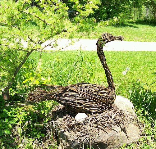 Swan Mother Egg