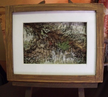 Framed Birch Bark 2