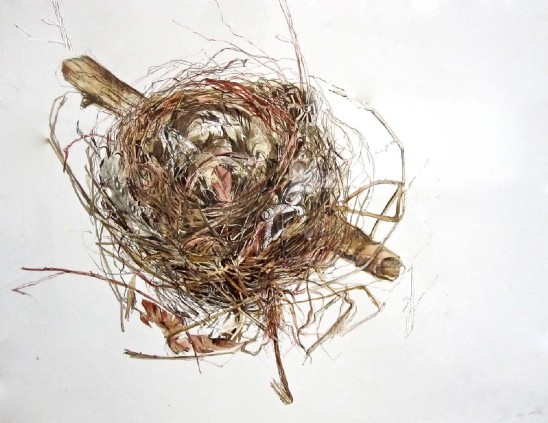Nest#2