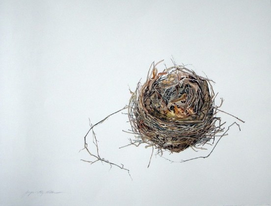 Nest #5