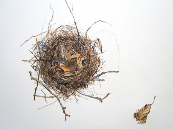 Nest#3