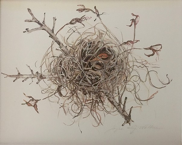 "Moss Nest"