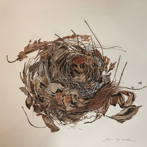Wren's Nest