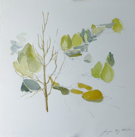 Brush Creek Hillside - watercolor