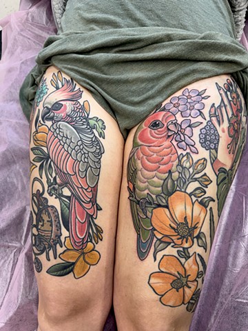 Pair of tropical birds by Jody Dawber 