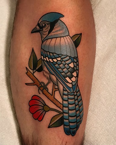 blue jay tattoo by dave wah at stay humble tattoo company in baltimore maryland the best tattoo shop and artist in baltimore maryland