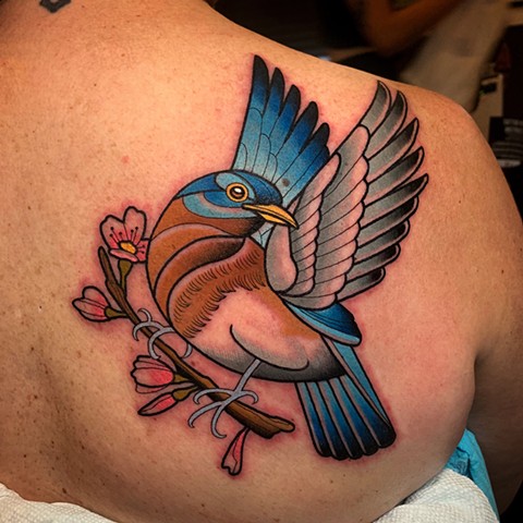 eastern blue bird tattoo by tattoo artist dave wah at stay humble tattoo company in baltimore maryland the best tattoo shop in baltimore maryland