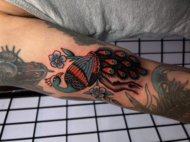 Peacock tattoo by Jason Ziegler 