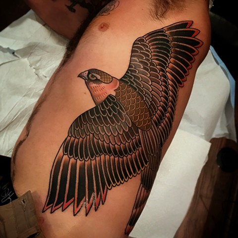 falcon tattoo by dave wah at stay humble tattoo company in baltimore maryland the best tattoo shop and artist in baltimore maryland