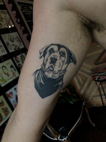 Dog portrait by Connie Kang