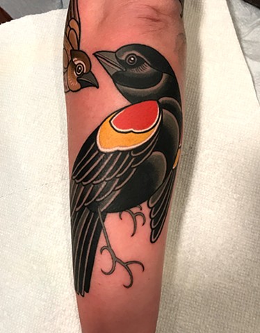 red wing sparrow tattoo by tattoo artist dave wah at stay humble tattoo company in baltimore maryland the best tattoo shop in maryland and east coast